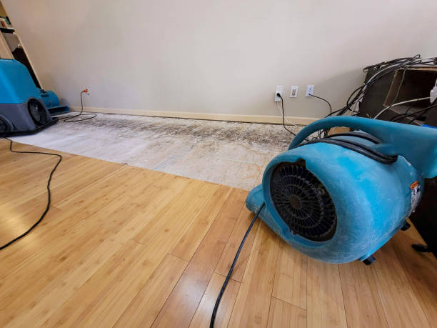 Professional Structural Drying technician working in Kennesaw, GA